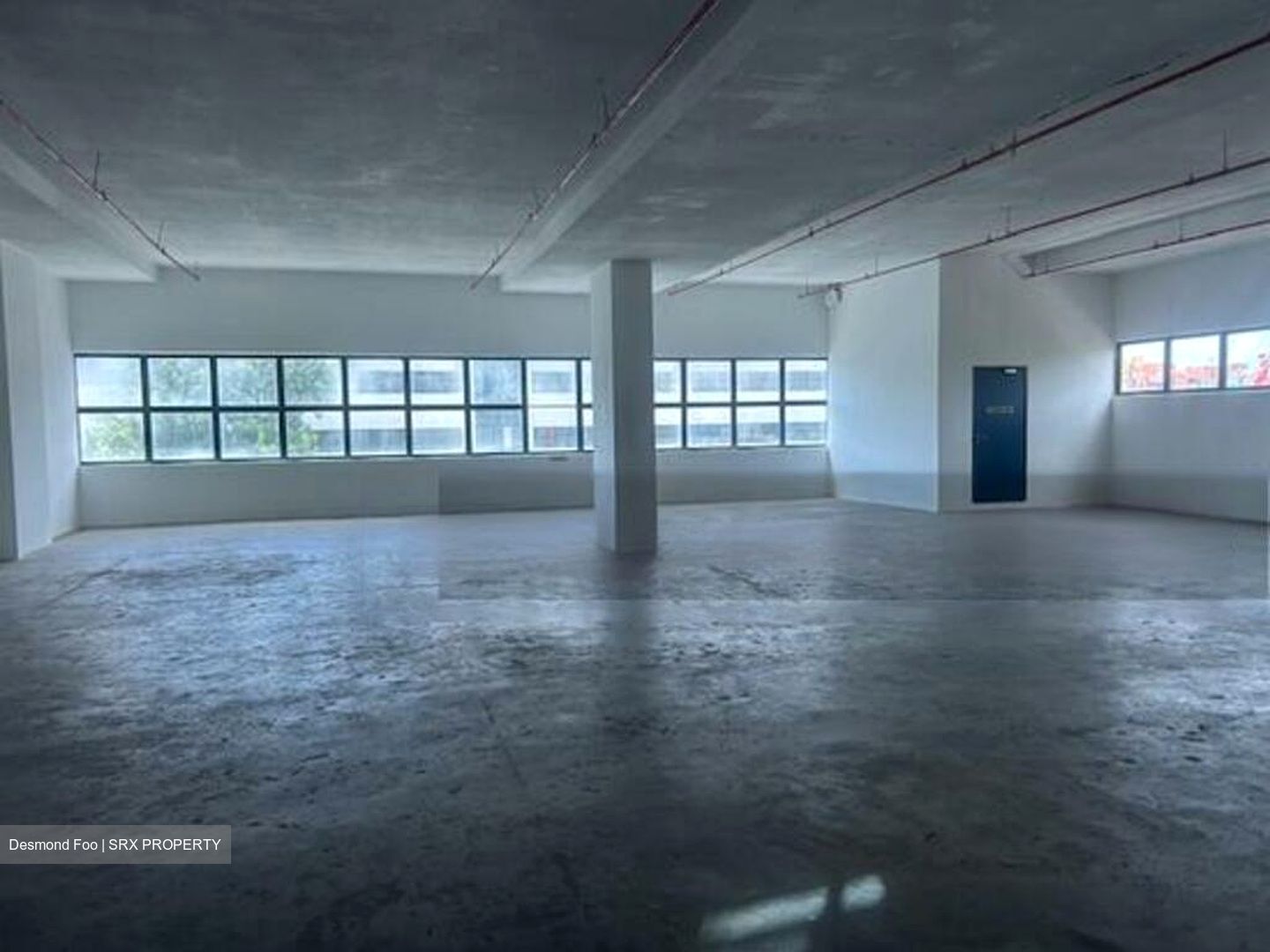 Loyang Industrial Estate (D17), Factory #455343921